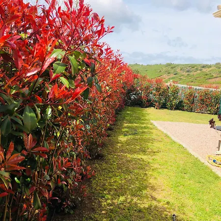 Mini-villa Mitoyenne De Type F2 Proche Golfe De Lava *