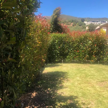 Feriehus Mini-villa Mitoyenne De Type F2 Proche Golfe De Lava Appietto