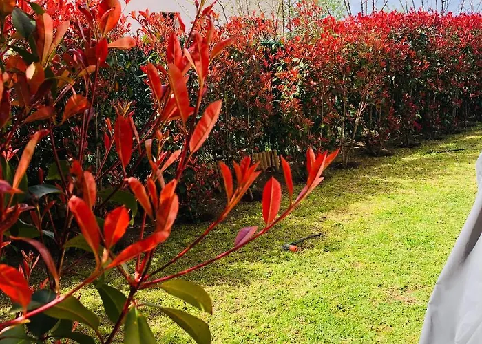 Mini-villa Mitoyenne De Type F2 Proche Golfe De Lava *