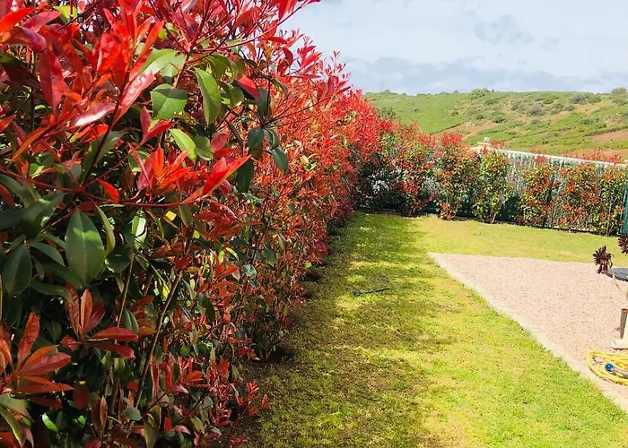 Mini-villa Mitoyenne De Type F2 Proche Golfe De Lava *