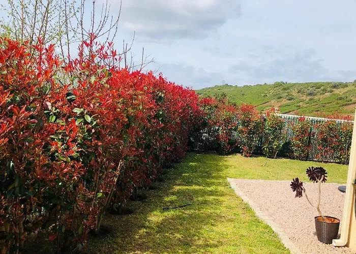 Mini-villa Mitoyenne De Type F2 Proche Golfe De Lava 度假居 *