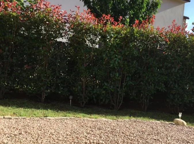 Mini-villa Mitoyenne De Type F2 Proche Golfe De Lava 度假居 *