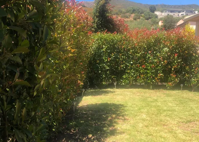 度假居 Mini-villa Mitoyenne De Type F2 Proche Golfe De Lava 阿帕涅托