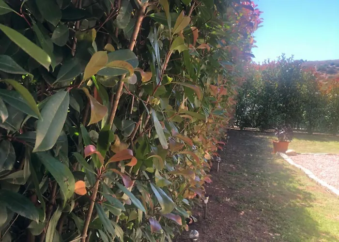 Mini-villa Mitoyenne De Type F2 Proche Golfe De Lava * 阿帕涅托